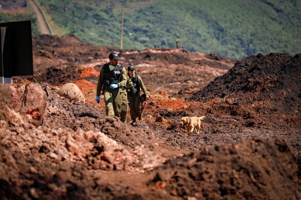 Governo planeja anunciar pagamento antecipado de benefício do INSS em Brumadinho