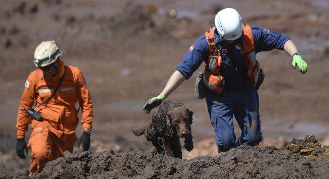 Tragédia em Brumadinho:...