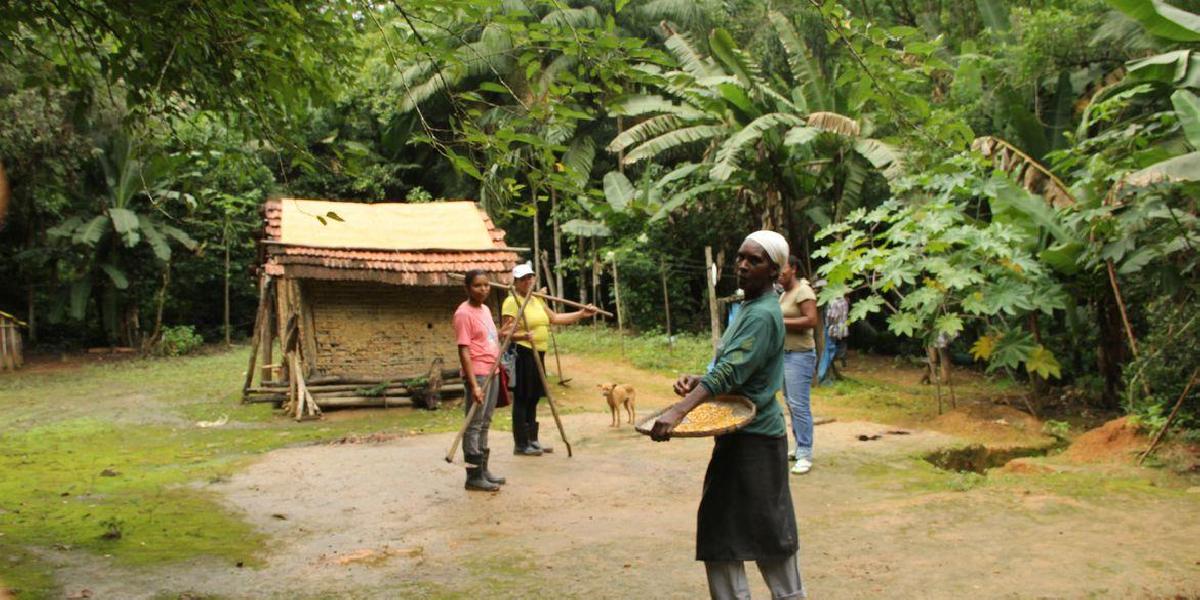 Aplicativo mapeia 5,3 mil famílias em territórios tradicionais