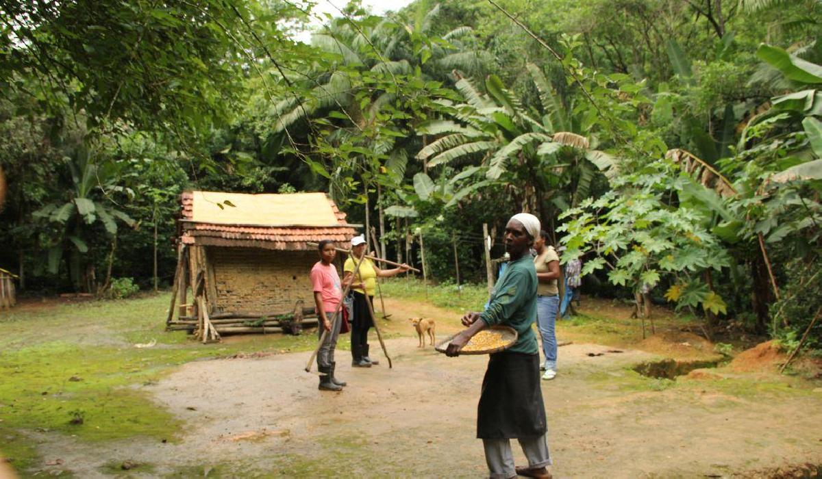 Aplicativo mapeia 5,3 mil famílias em territórios tradicionais