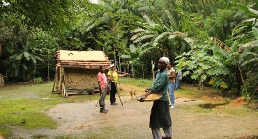 Aplicativo mapeia 5,3 mil famílias em territórios tradicionais