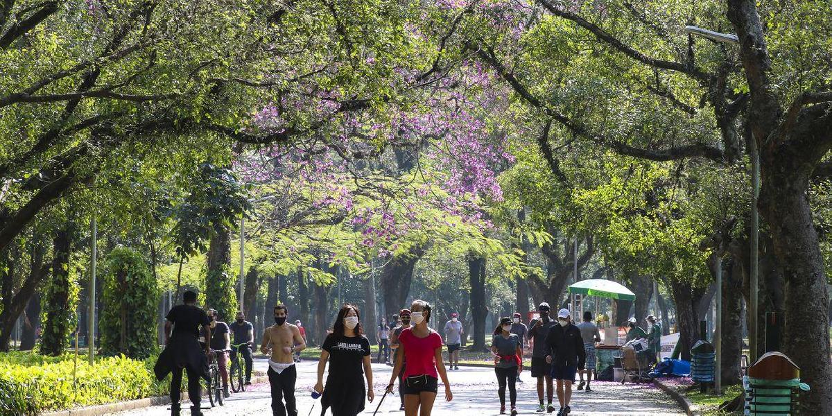 Brasil registra 34,1 mil casos de covid-19 em 24 horas