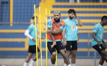 Copa América: seleção...