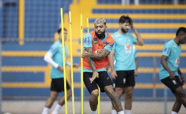 Copa América: seleção...