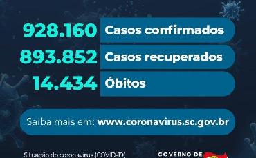 Coronavírus: Estado confirma...