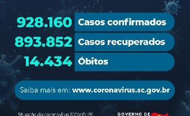 Coronavírus: Estado confirma...