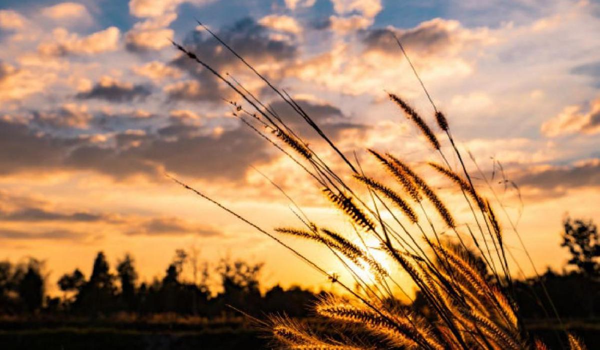 Feriadão com sol entre nuvens e temperatura amena