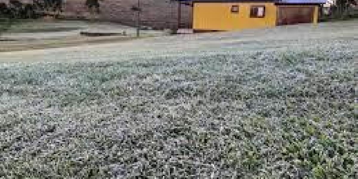 Fim de semana ensolarado e frio com geada