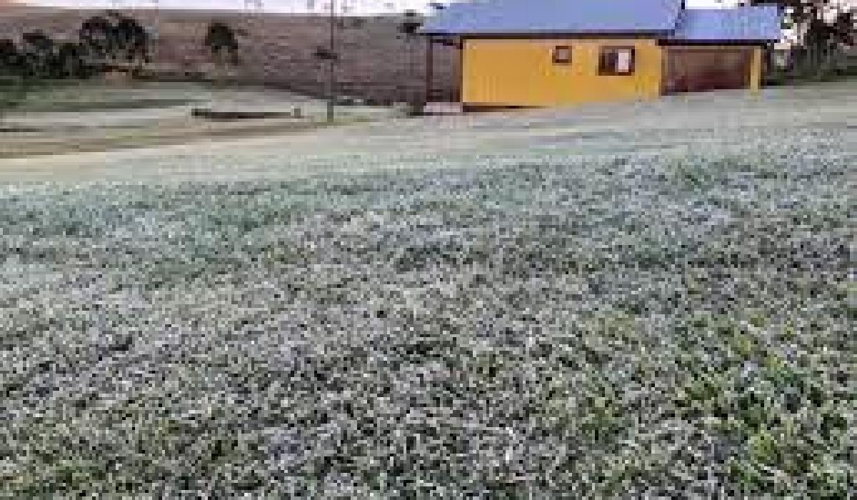 Fim de semana ensolarado e frio com geada