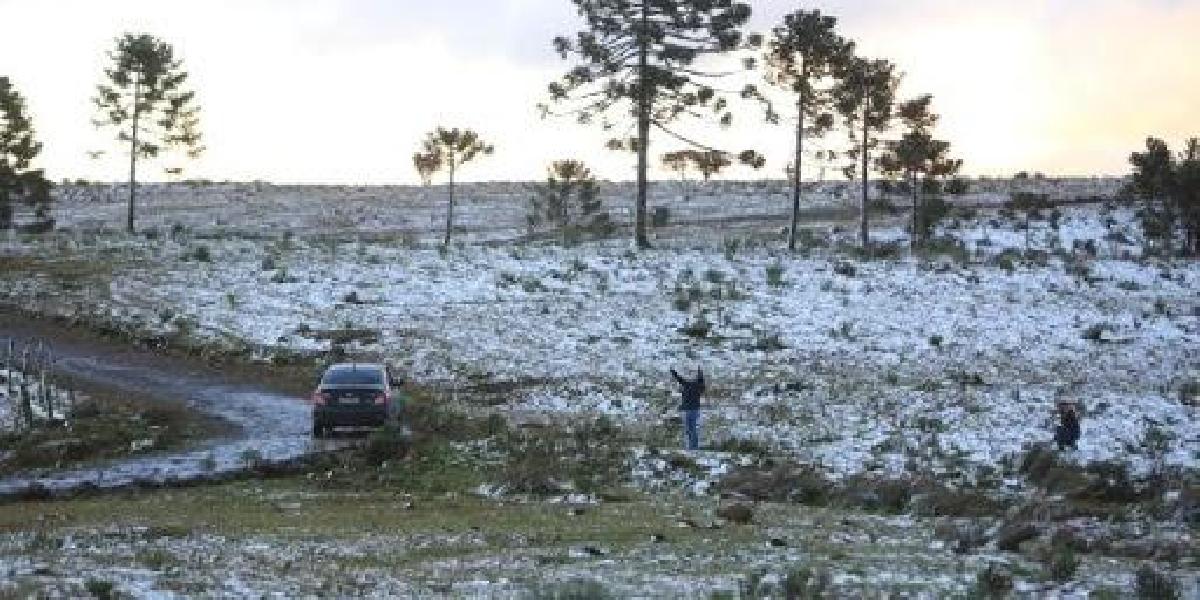 Início de semana gelado com temperatura negativa e geada