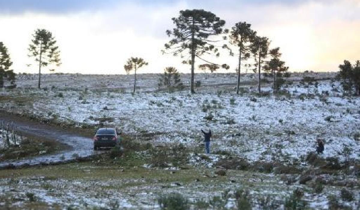 Início de semana gelado com temperatura negativa e geada