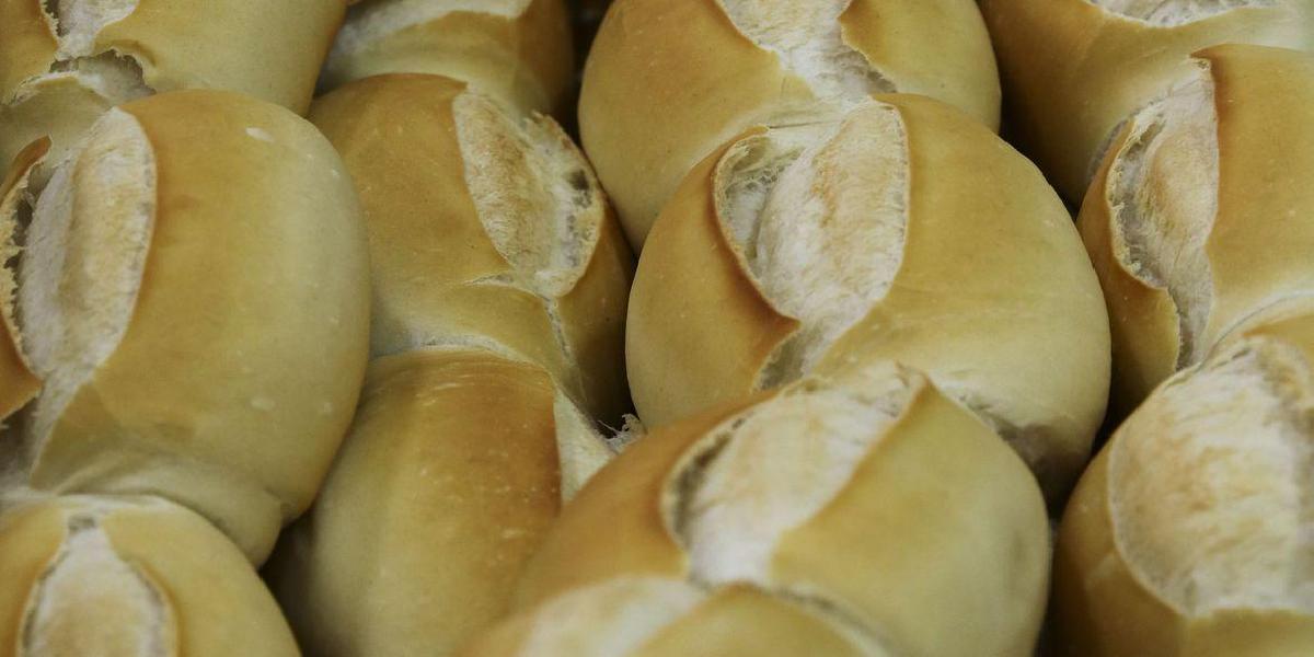 Pesquisa cria pão sem glúten mais saboroso e com alto valor nutritivo