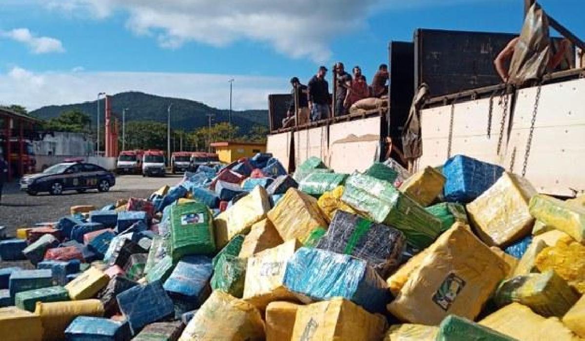 PF e PRF fazem a maior apreensão de maconha da história de Santa Catarina