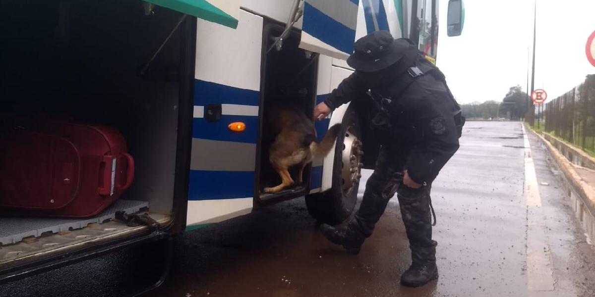 Polícia Civil participa da Semana Nacional de Políticas sobre Drogas em operação com cães