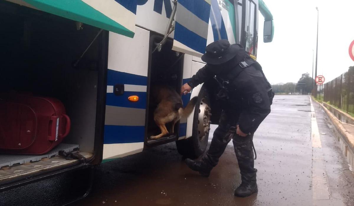 Polícia Civil participa da Semana Nacional de Políticas sobre Drogas em operação com cães