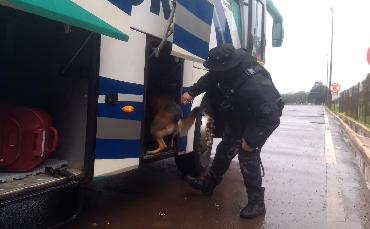 Polícia Civil participa...