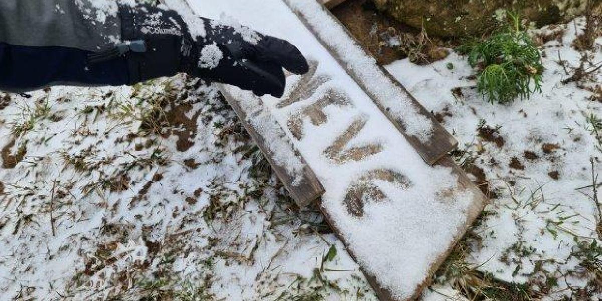 Quinta-feira foi de geada e temperaturas negativas em Santa Catarina