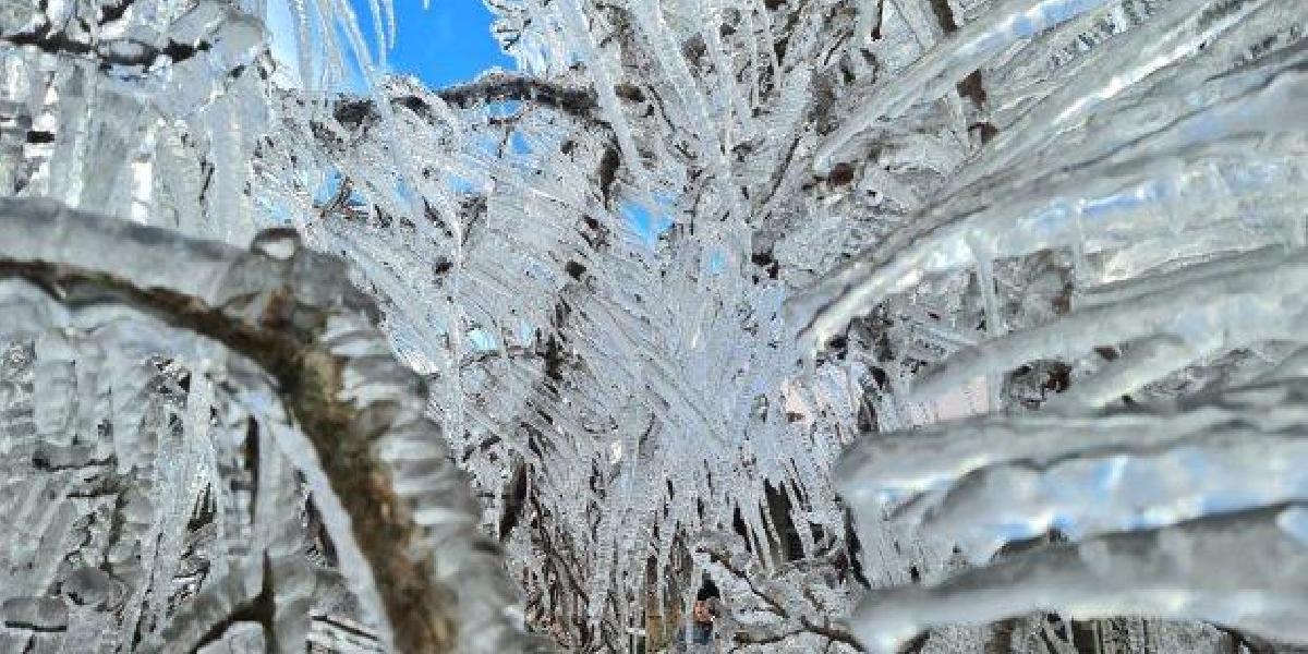 Quinta-feira será outro dia de frio intenso em Santa Catarina