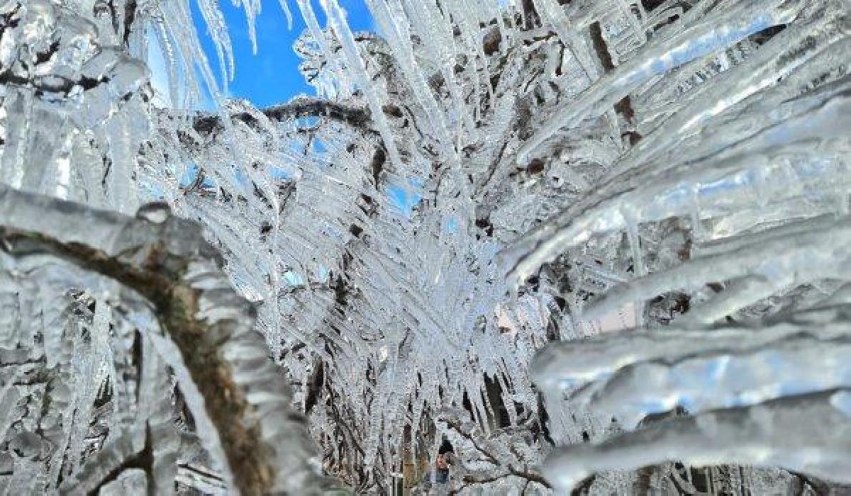 Quinta-feira será outro dia de frio intenso em Santa Catarina