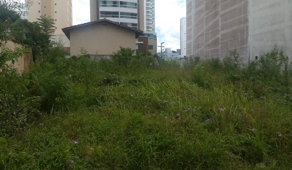 Saiba a diferença entre limpeza e roçada de terreno