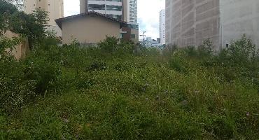 Saiba a diferença entre limpeza e roçada de terreno