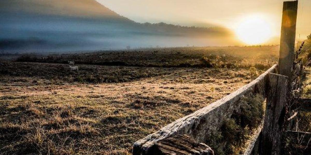 Santa Catarina registra a menor temperatura do ano nesta terça-feira