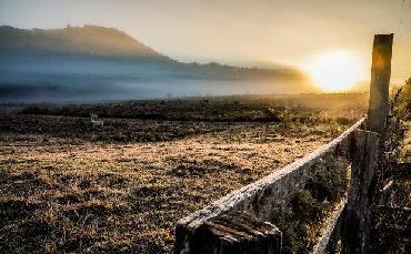 Santa Catarina registra...