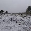 Santa Catarina registra neve e chuva congelada na Serra