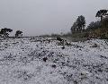 Santa Catarina registra neve e chuva congelada na Serra