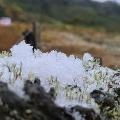 Santa Catarina registra neve e chuva congelada na Serra