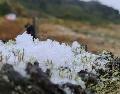 Santa Catarina registra neve e chuva congelada na Serra