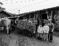 Trabalhos produzidos em missão fotográfica serão apresentados em junho